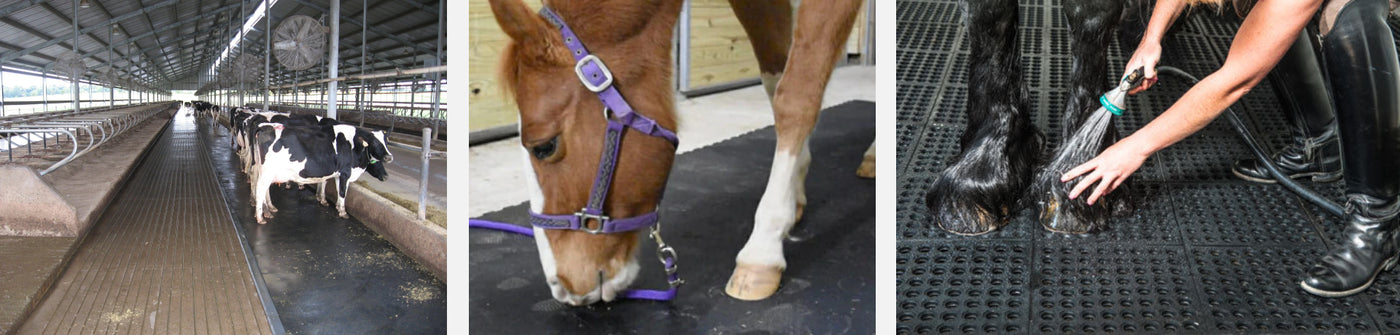 Agriculture and Equestrian Mats