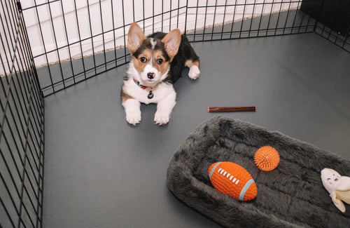 Pet Flooring - 3 Colors