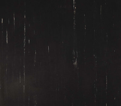 ProXL - Graphite