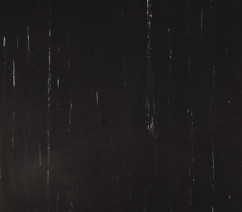 ProXL - Graphite