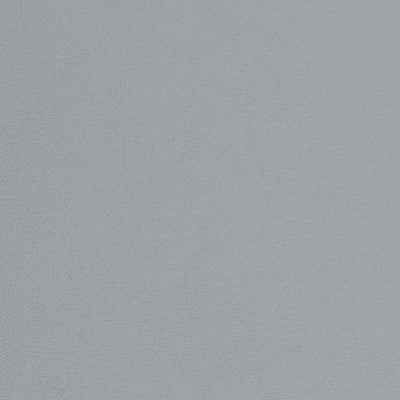 Solid Roll Flooring - Light Grey