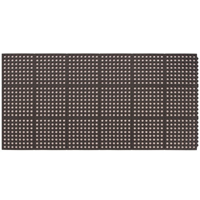 Performa - 2 Colors
