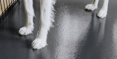 Pet Flooring - 3 Colors