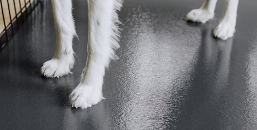 Pet Flooring - 3 Colors
