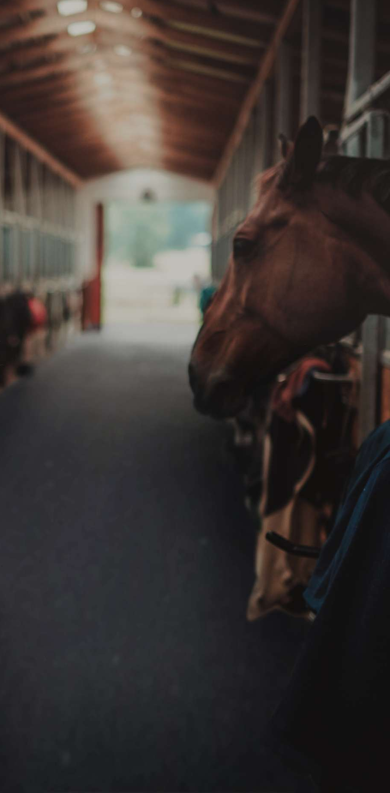 Horse Stall Mats