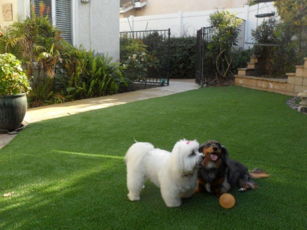 Envypet XQ Artificial Turf