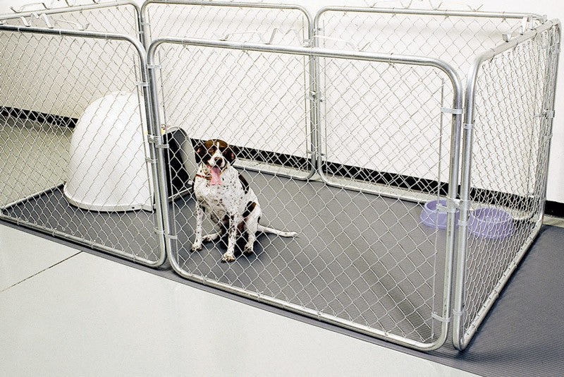 Pet Flooring - 3 Colors